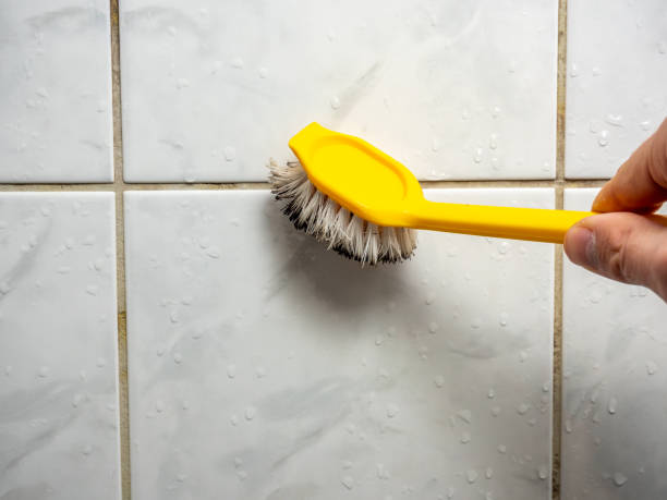 Professional Mold Removal in Las Flores, CA