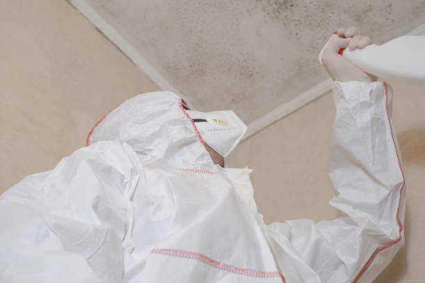 Best Emergency Mold Removal  in Las Flores, CA