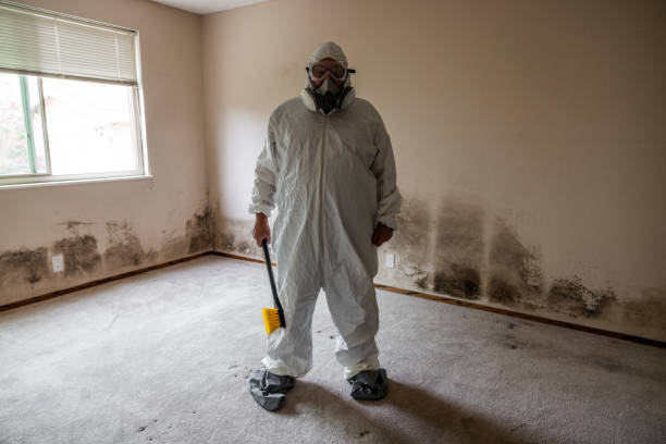 Best Commercial Mold Removal  in Las Flores, CA
